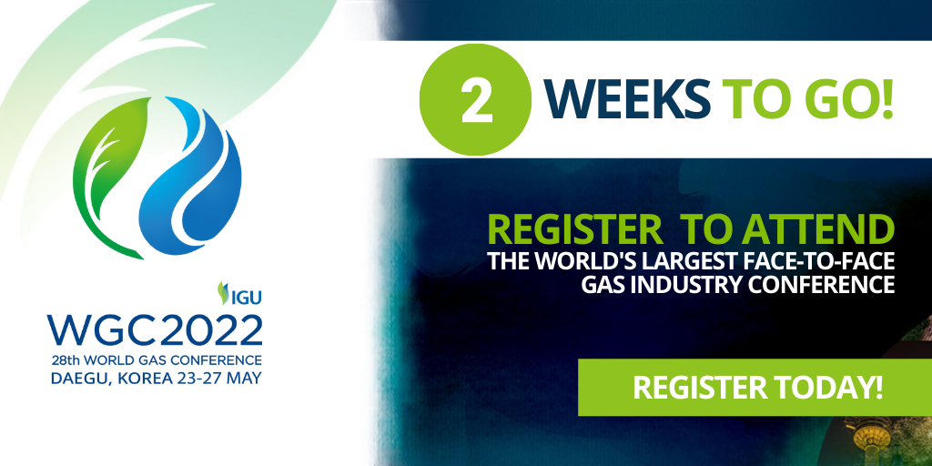 28th World Gas Conference (WGC 2022) Cedigaz